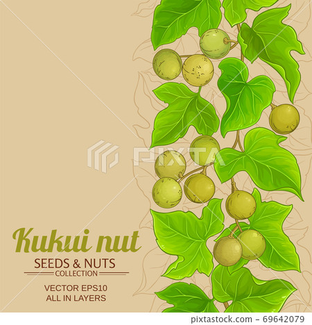 kukui vector background 69642079