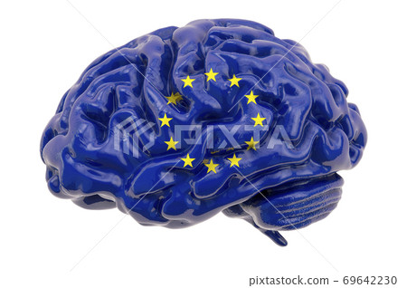 Human brain with the European Union flag. Scientific research and education in the EU concept, 3D rendering 69642230