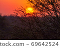 南非日落 69642524