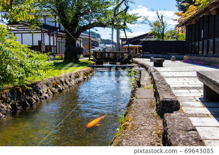 鯉魚和人行道在水道中游泳 69643085