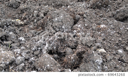 Fresh soil background closeup 69643268