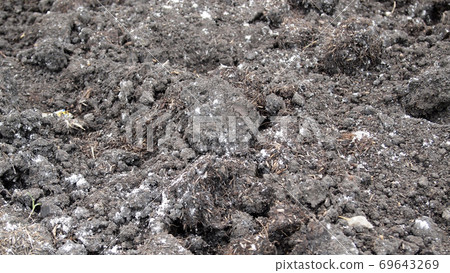 Fresh soil background closeup 69643269