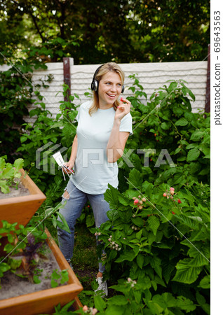 Woman in headphones works with flowers in garden 69643563
