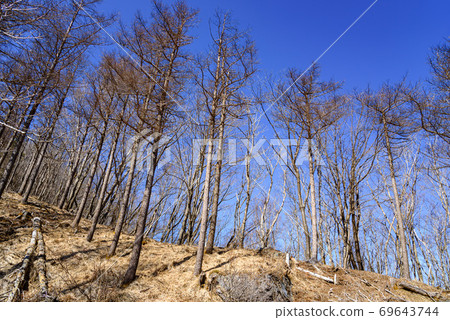 Looking up at the ridgeline of the Misaka Mountains Looking up at the ridgeline of the Misaka Mountains 69643744