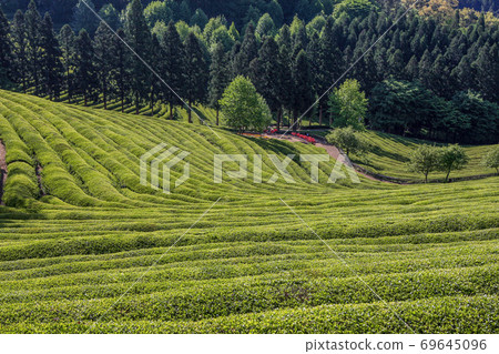 寶城大旺 69645096