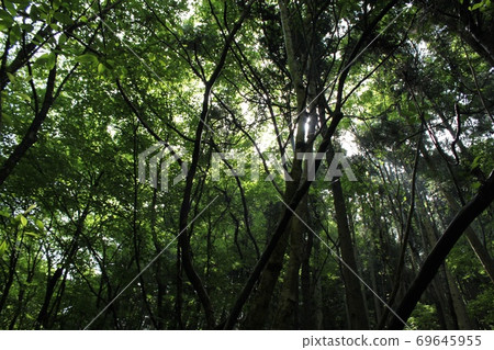 Takigawa Valley 69645955