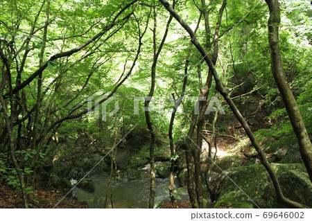 Takigawa Valley 69646002