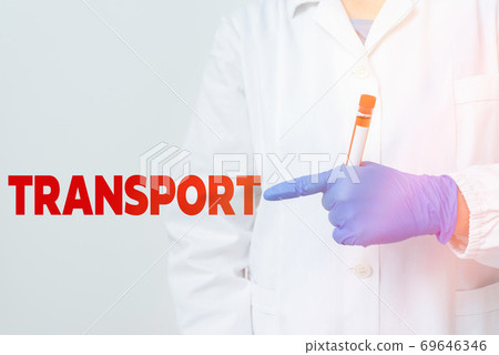 Handwriting text writing Transport. Concept 69646346
