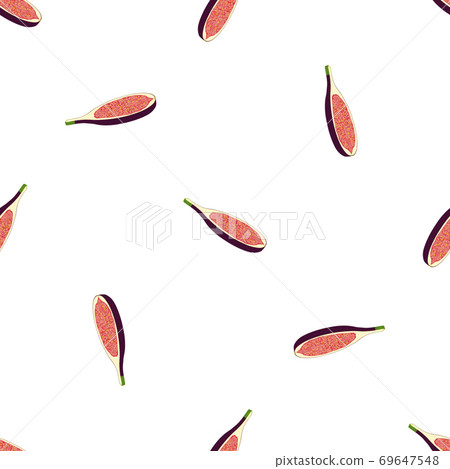 Illustration on theme big colored seamless purple fig Illustration on theme big colored seamless purple fig 69647548