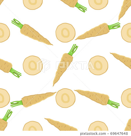 Illustration on theme of pattern plant parsnip Illustration on theme of pattern plant parsnip 69647648