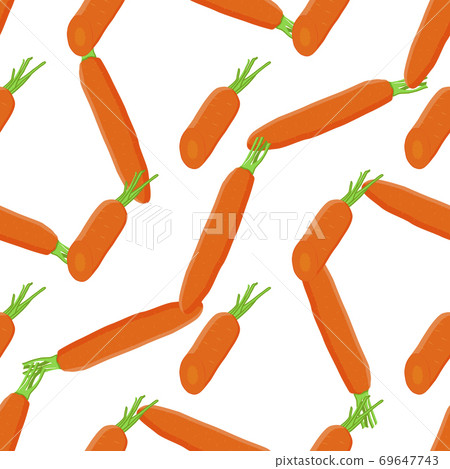 Illustration on theme of bright pattern yellow carrots Illustration on theme of bright pattern yellow carrots 69647743
