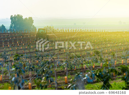 tractor cultivates agricultural land 69648168
