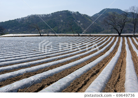 Rural landscape 69649736