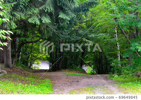 Forked road of mountain path Forked road of mountain path 69649845