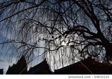 秋天自然圖像 69650183