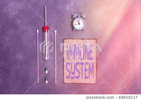 Conceptual hand writing showing Immune System 69650217