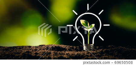 Ecological friendly and sustainable environment 69650508