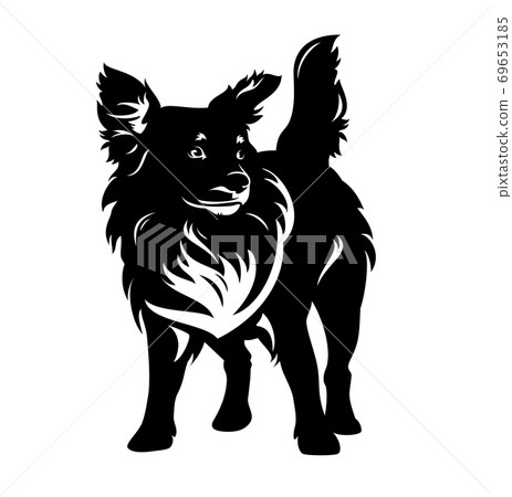 cute mixed breed pet dog black and white vector portrait cute mixed breed pet dog black and white vector portrait 69653185