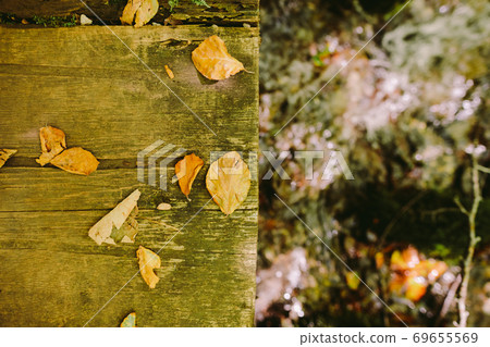 autumn leaves on wooden background 69655569
