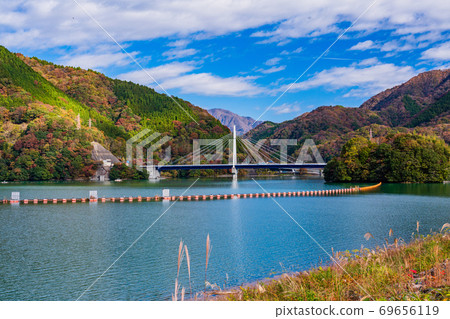 (Kanagawa Prefecture) Lake Tanzawa, Nagatoshibashi, Autumn leaves on the shore of the lake 69656119