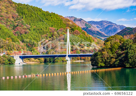 (Kanagawa Prefecture) Lake Tanzawa, Nagatoshibashi, Autumn leaves on the shore of the lake (Kanagawa Prefecture) Lake Tanzawa, Nagatoshibashi, Autumn leaves on the shore of the lake 69656122