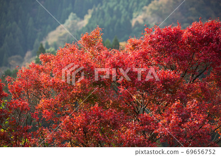 山的秋葉高千穗峽山脈 69656752