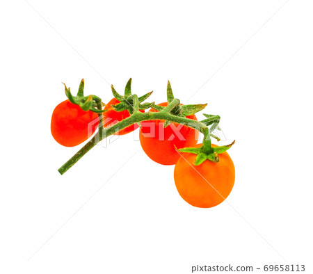 Fresh cherry tomatoes isolated on white background with selective focus Fresh cherry tomatoes isolated on white background with selective focus 69658113