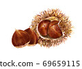 Chestnut 1 69659115