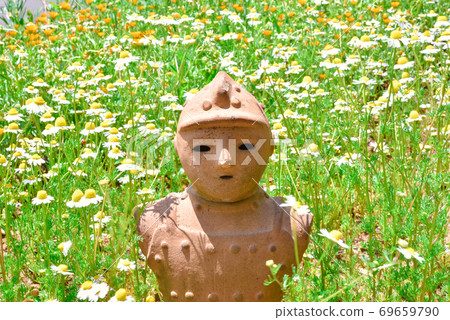 What is chamomile? 69659790