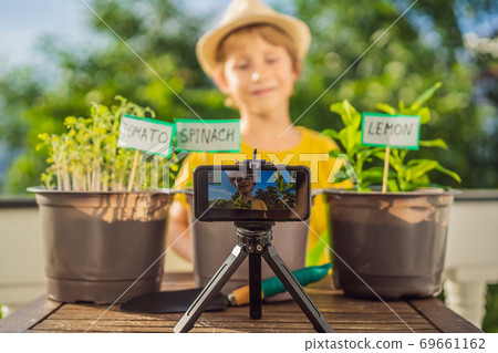 The boy records a video blog about gardening on his balcony. Natural development for children 69661162