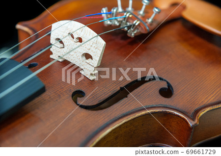 Violin on a black background Violin on a black background 69661729