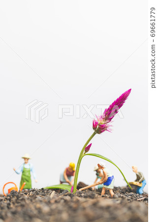 Miniature people , Gardeners take care growing plants in The field Miniature people , Gardeners take care growing plants in The field 69661779