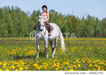 Pretty European little girl rides a white horse Pretty European little girl rides a white horse 69662345