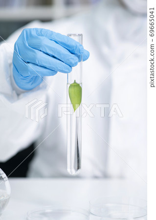 Science, chemistry, biology, and medicine concept, scientist with equipment and science experiments 073 Science, chemistry, biology, and medicine concept, scientist with equipment and science experiments 073 69665041