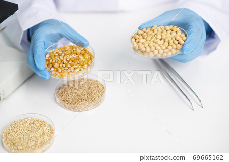 Science, chemistry, biology, and medicine concept, scientist with equipment and science experiments 173 Science, chemistry, biology, and medicine concept, scientist with equipment and science experiments 173 69665162