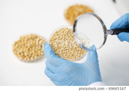 Science, chemistry, biology, and medicine concept, scientist with equipment and science experiments 180 Science, chemistry, biology, and medicine concept, scientist with equipment and science experiments 180 69665167