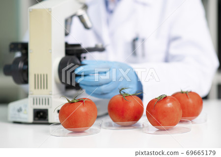 Science, chemistry, biology, and medicine concept, scientist with equipment and science experiments 188 Science, chemistry, biology, and medicine concept, scientist with equipment and science experiments 188 69665179