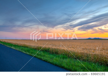 Barley field and amazing sunset in Czech Republic 69665191