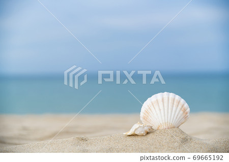 Summer holiday concept, Summer beach accessories 001 Summer holiday concept, Summer beach accessories 001 69665192
