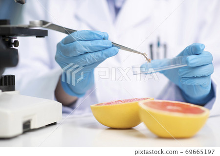 Science, chemistry, biology, and medicine concept, scientist with equipment and science experiments 192 Science, chemistry, biology, and medicine concept, scientist with equipment and science experiments 192 69665197