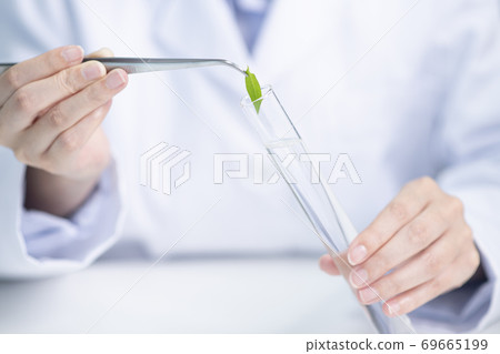 Science, chemistry, biology, and medicine concept, scientist with equipment and science experiments 202 Science, chemistry, biology, and medicine concept, scientist with equipment and science experiments 202 69665199