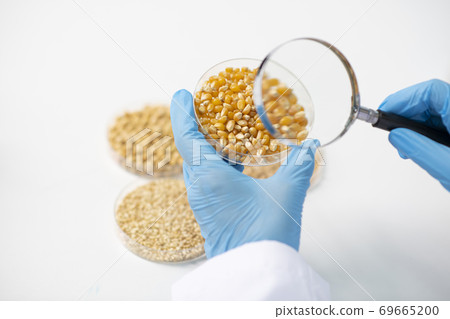 Science, chemistry, biology, and medicine concept, scientist with equipment and science experiments 183 69665200