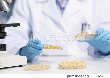 Science, chemistry, biology, and medicine concept, scientist with equipment and science experiments 181 69665203
