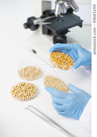 Science, chemistry, biology, and medicine concept, scientist with equipment and science experiments 182 Science, chemistry, biology, and medicine concept, scientist with equipment and science experiments 182 69665209
