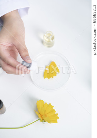 Science, chemistry, biology, and medicine concept, scientist with equipment and science experiments 218 Science, chemistry, biology, and medicine concept, scientist with equipment and science experiments 218 69665212