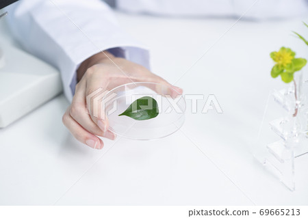 Science, chemistry, biology, and medicine concept, scientist with equipment and science experiments 209 Science, chemistry, biology, and medicine concept, scientist with equipment and science experiments 209 69665213
