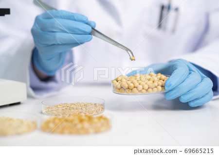 Science, chemistry, biology, and medicine concept, scientist with equipment and science experiments 171 Science, chemistry, biology, and medicine concept, scientist with equipment and science experiments 171 69665215