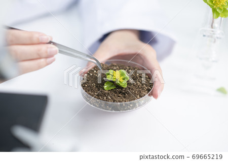 Science, chemistry, biology, and medicine concept, scientist with equipment and science experiments 213 Science, chemistry, biology, and medicine concept, scientist with equipment and science experiments 213 69665219