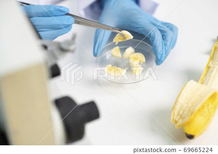 Science, chemistry, biology, and medicine concept, scientist with equipment and science experiments 197 Science, chemistry, biology, and medicine concept, scientist with equipment and science experiments 197 69665224