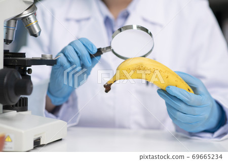 Science, chemistry, biology, and medicine concept, scientist with equipment and science experiments 193 Science, chemistry, biology, and medicine concept, scientist with equipment and science experiments 193 69665234